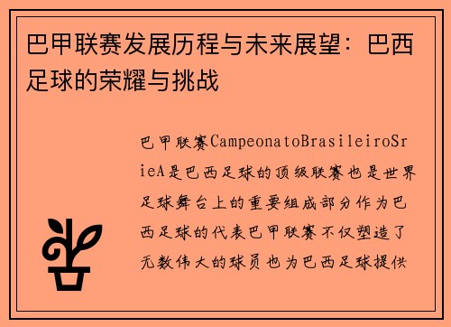 巴甲联赛发展历程与未来展望：巴西足球的荣耀与挑战